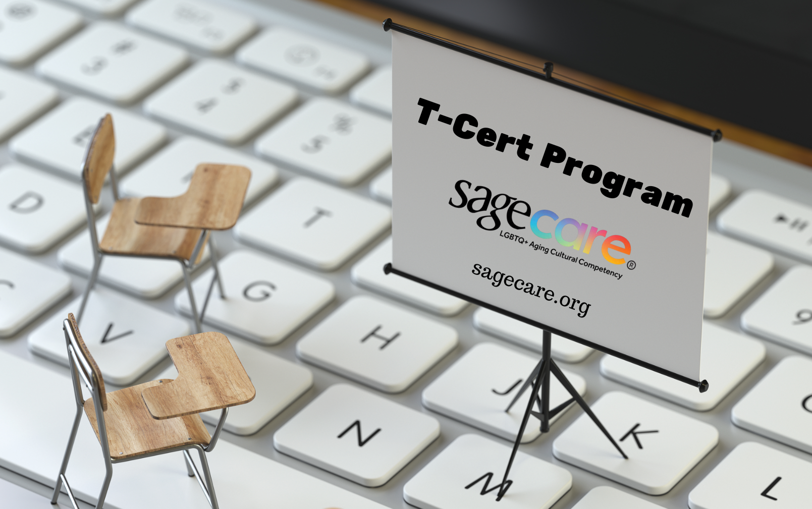 Empowering Organizations with SAGECare’s Trainer Certification Program (T-Cert)